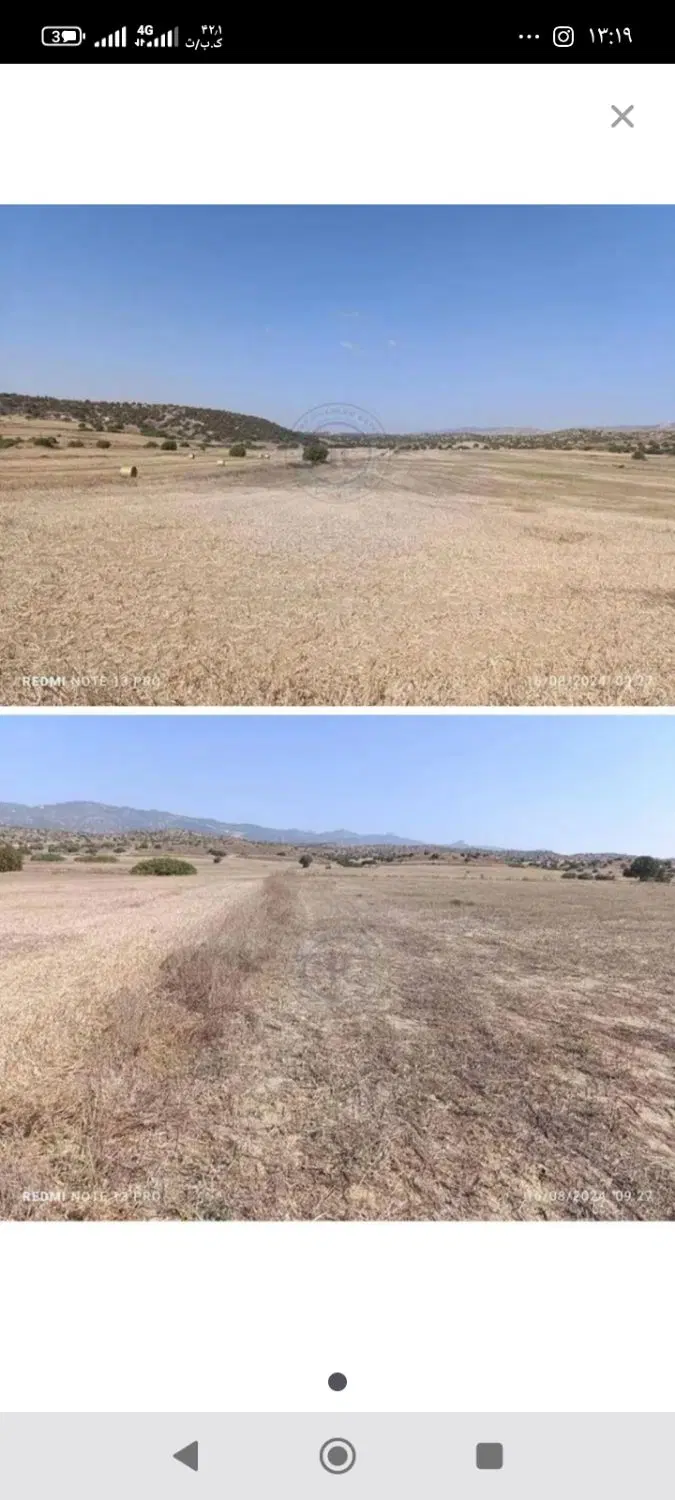 زمین