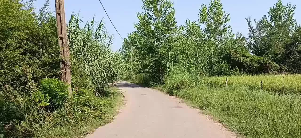 26هزارمترشالیزارسنتی