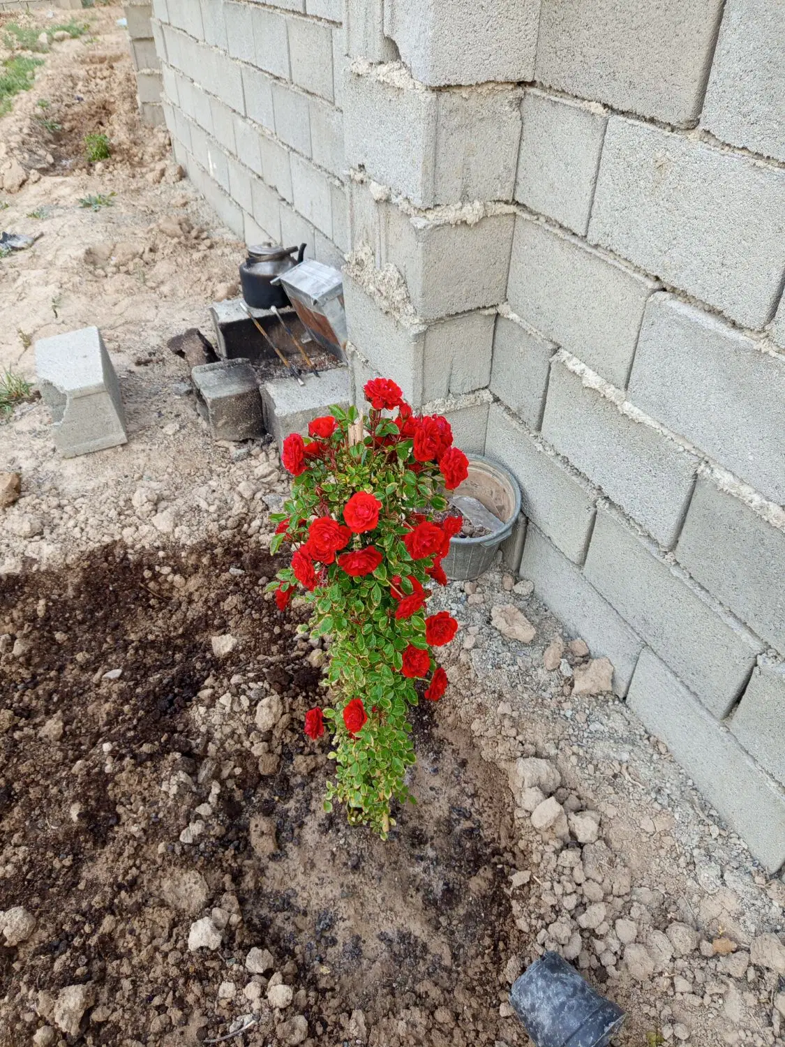 باغ ۴۰۰ متری. با تانکر ۲ هزار.