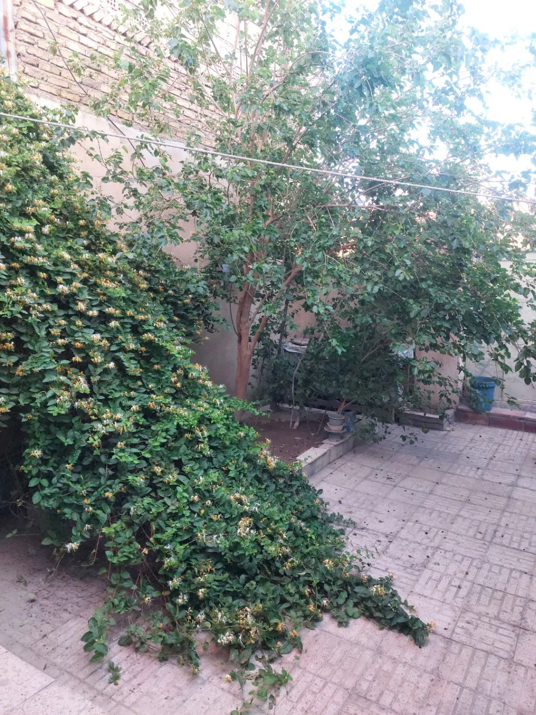 فروش خانه ویلایی