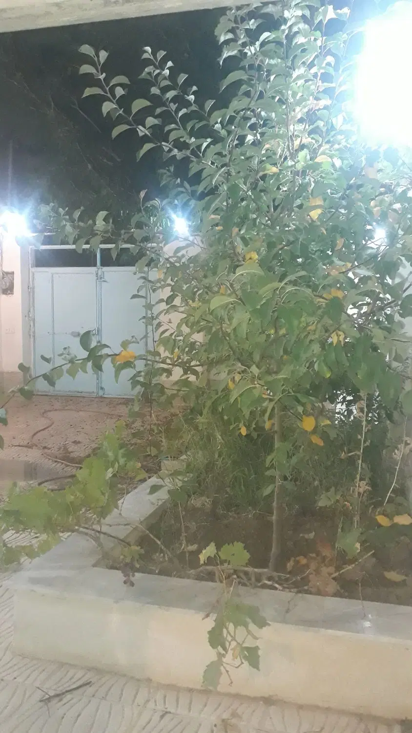 خانه ویلایی در قلعه نو  خرقان  نو خرقان