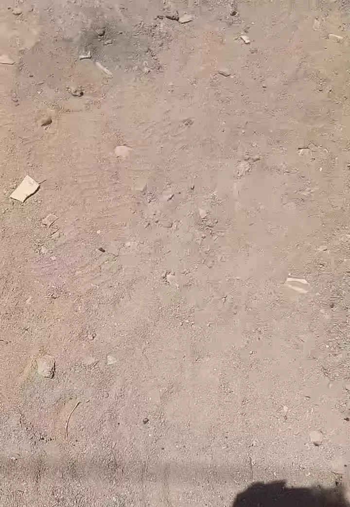 شمالی
