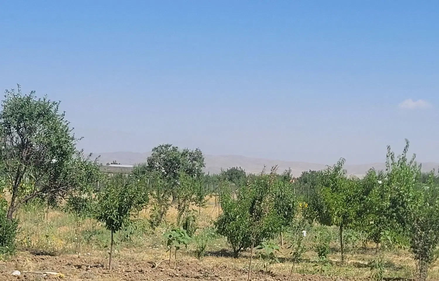 ۲۰۰۰متر باغ ویلایی شهر ملایر