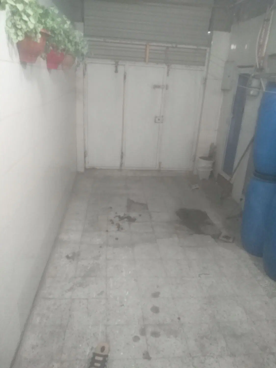 فروش خانه