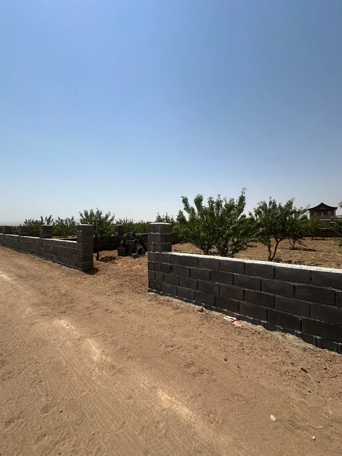 باغچه ۵۰۰ متری با سندتک برگ