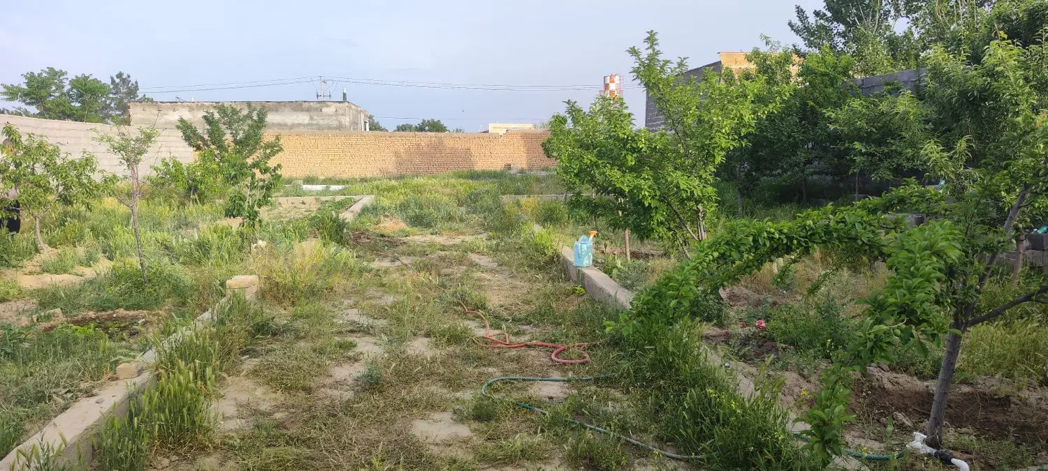 زمین باغی..شاهنامه ۷۶