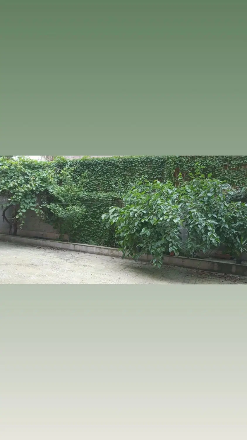 فروش زمین گلشهر ۶