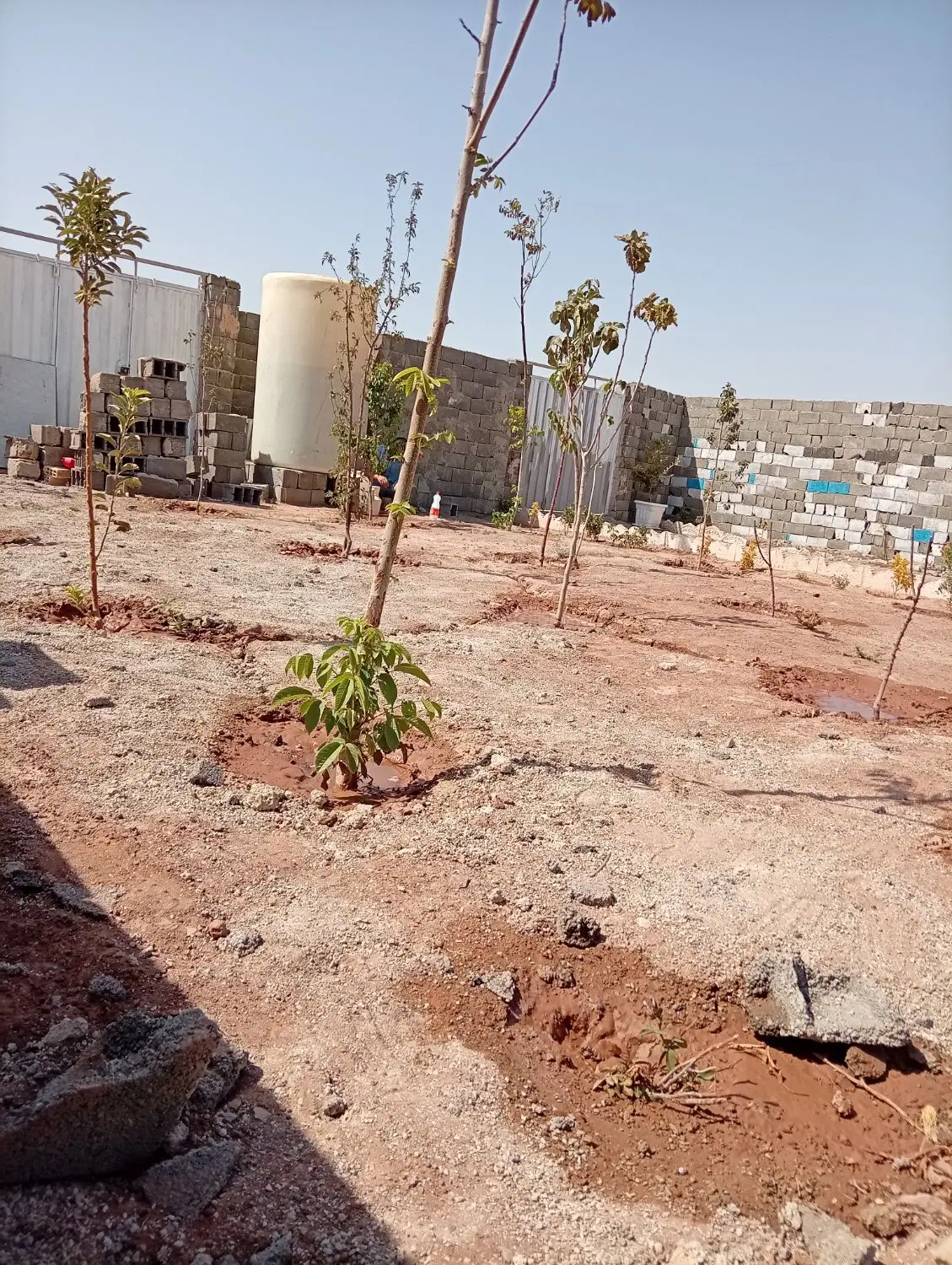 باغچه ۳۱۴ متری