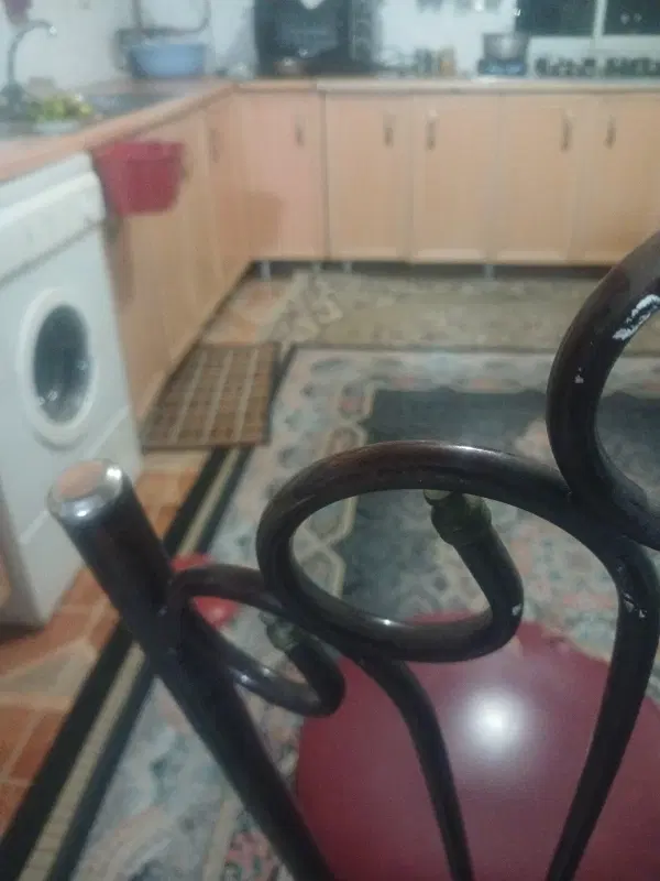 همخونه