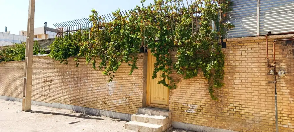 فروش منزل ویلایی کازرون خیابان کوه نورد
