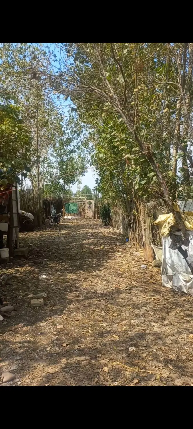 زمین کشاورزی به مساحت ۱۵۰۰متر با جاده۶متری