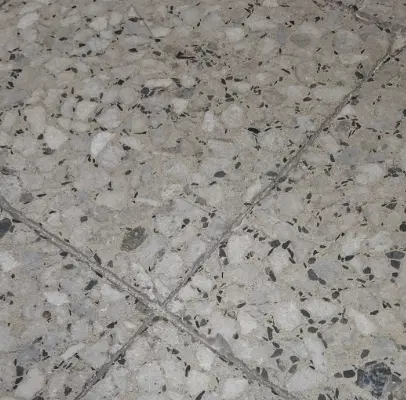 همخونه