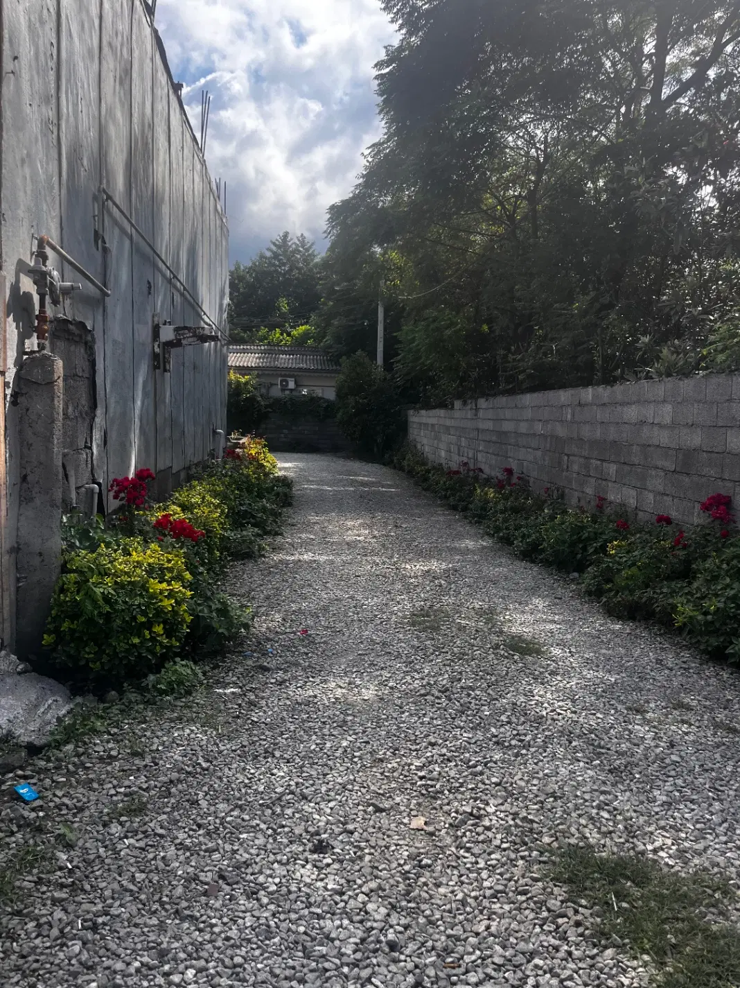 اتاق اجاره ای