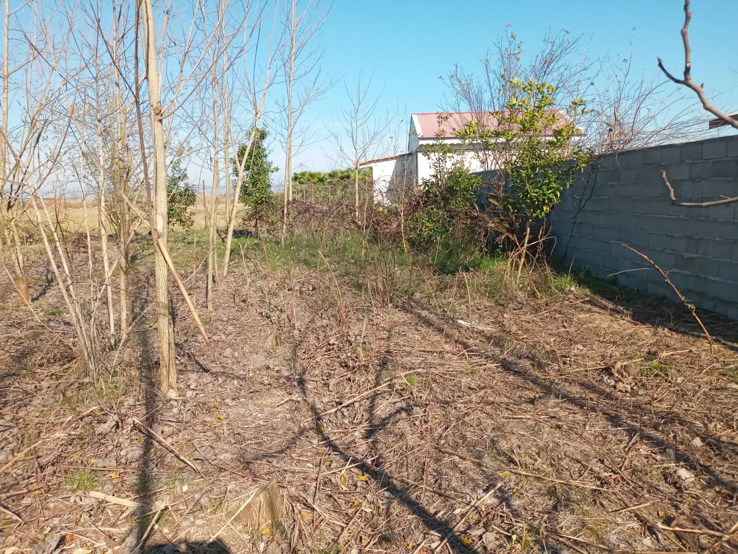 از دم قسط سند دار داخل طرح هادی