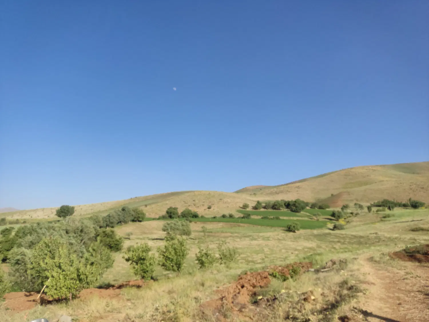 فروش زمین کشاورزی