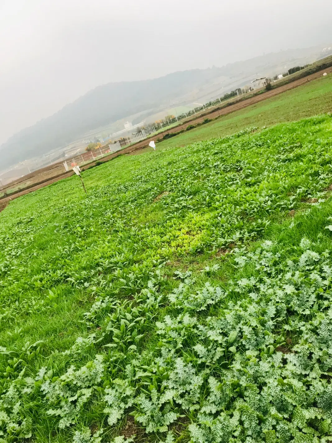 معاوضه زمین با خودرو