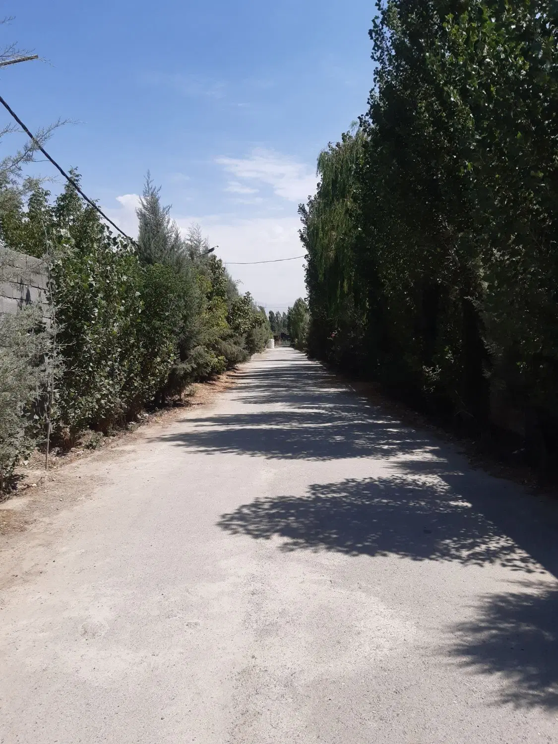 باغچه ۳۱۴م شهرکی سندتکبرگ ارزنده