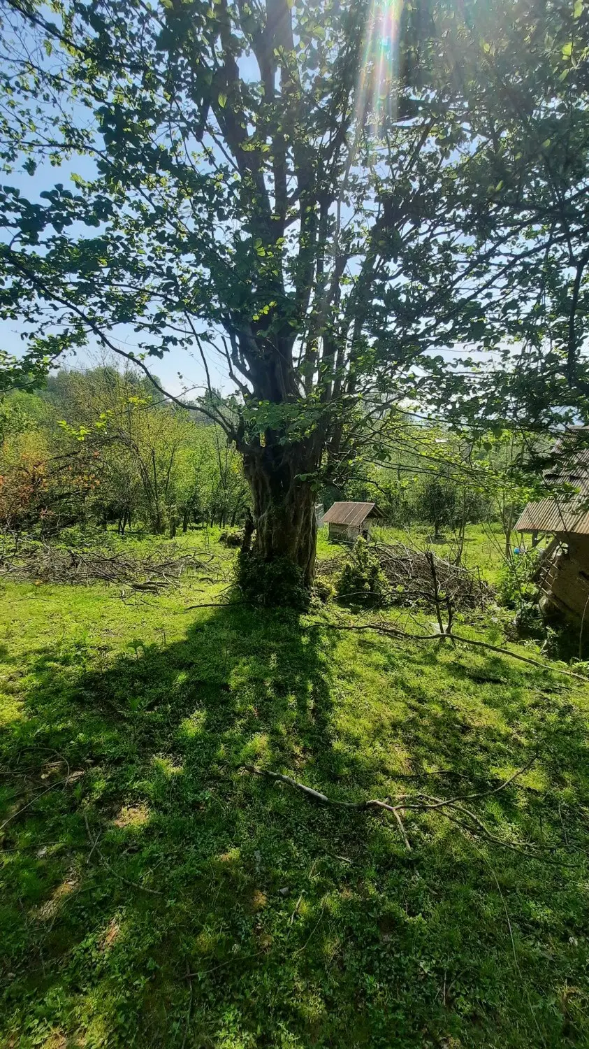 زمین مسکونی امام زاده هاشم دهستان بلوکات