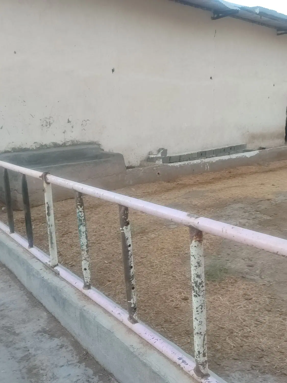 ۴دیواری سند دار