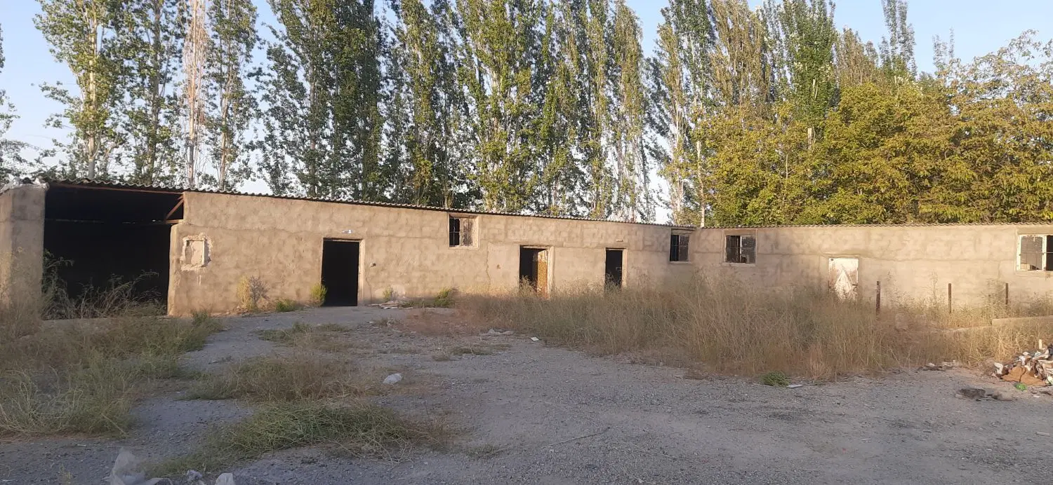 اجاره دامداری