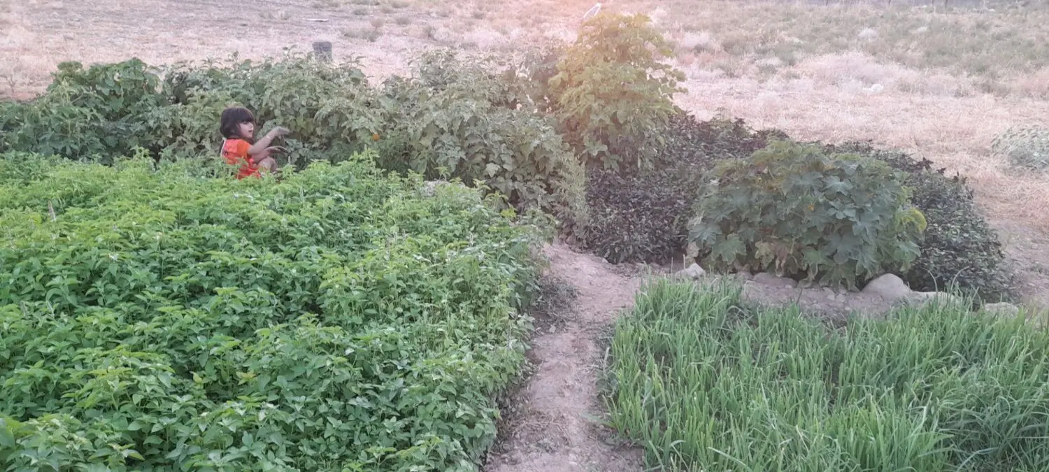زمین هلایجان