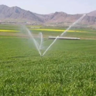 اجاره ۶ هکتار زمین کشاورزی آبی