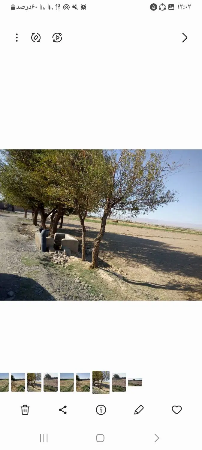 زمین باغ شهری