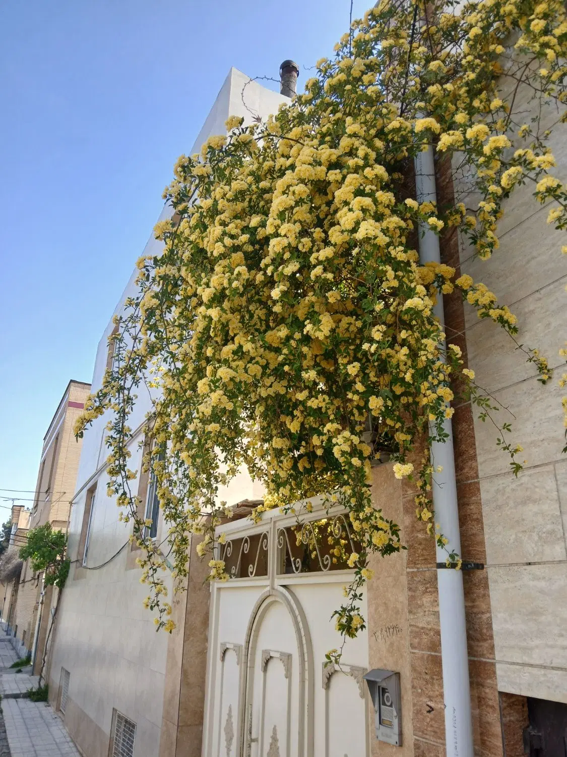 منزل ویلایی ۲۵۰ متری شهرک فرهنگیان ( لوکیشن )
