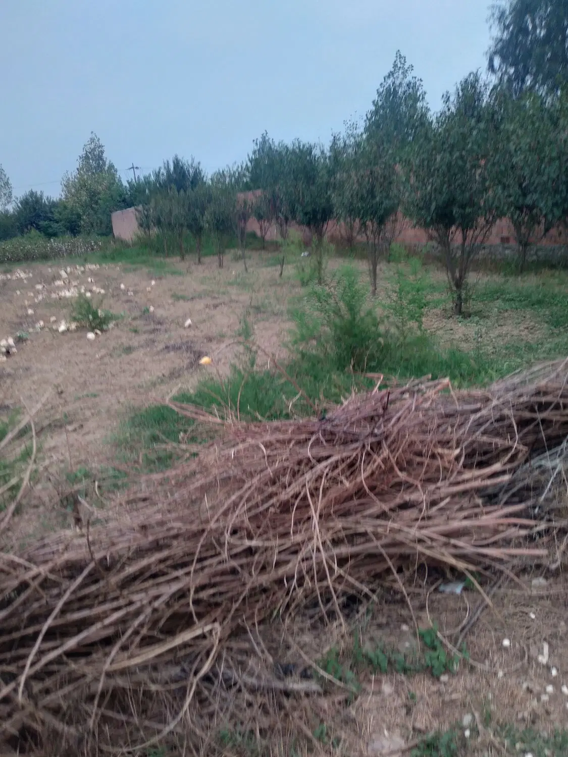 زمین مساحت ۲۰۰متر