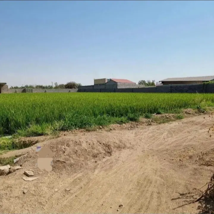 زمین کشاورزی و باغی