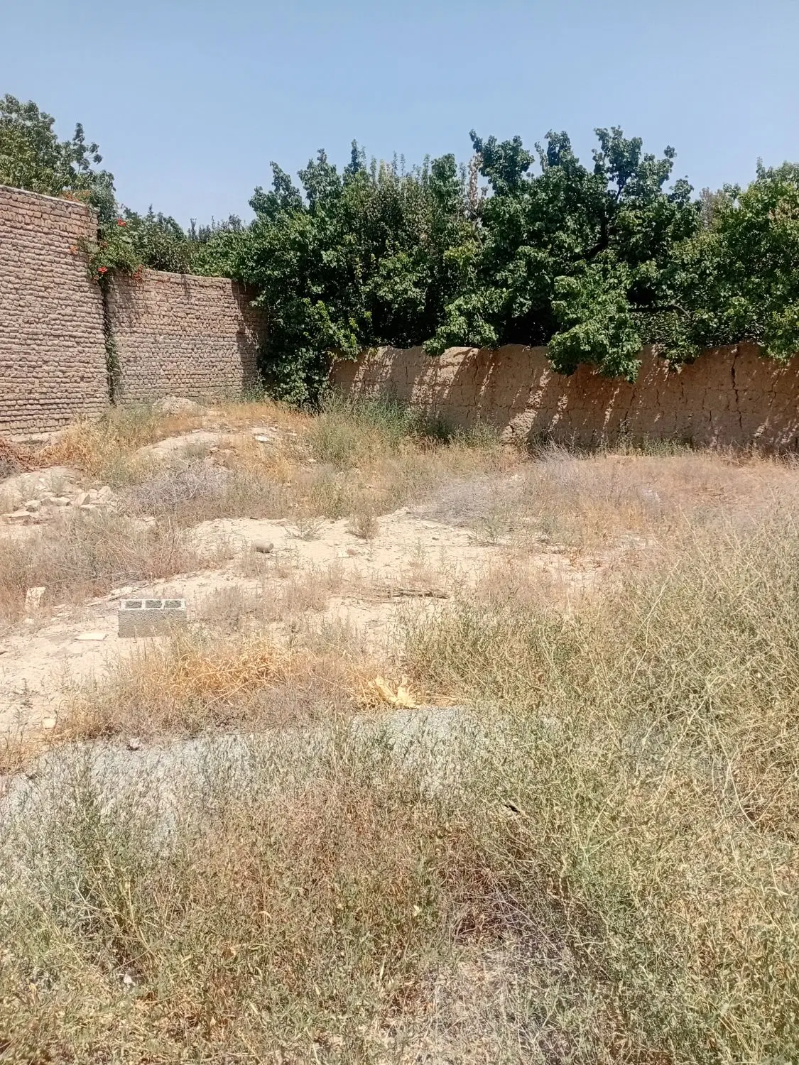 یک قطعه‌ زمین