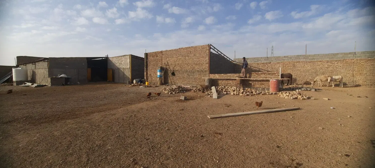 اجاره دامداری ساوه آقدره ۱ هکتار ۴ دیواری