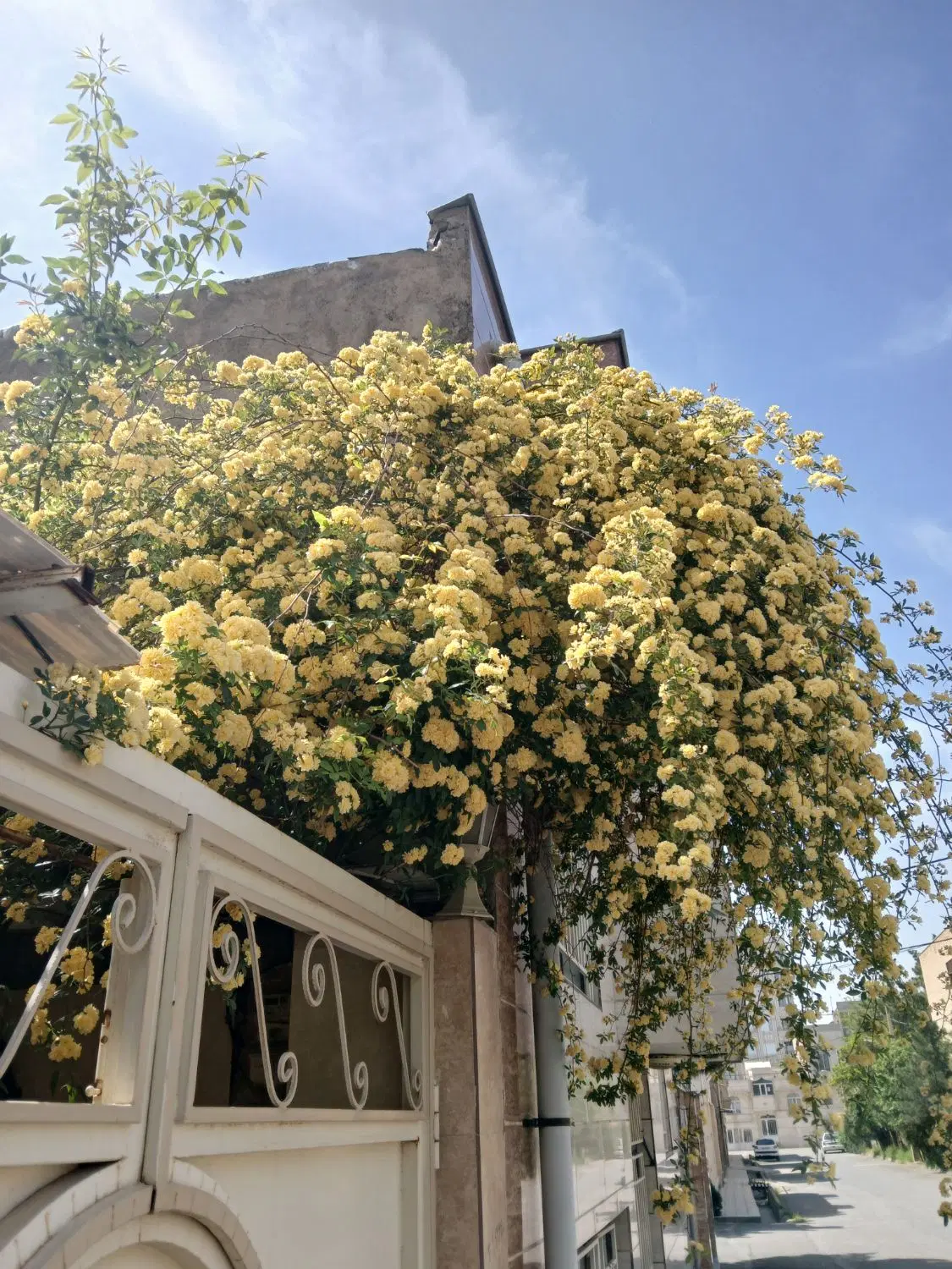 ویلایی ۲۵۰ متری شهرک فرهنگیان (خیابان بهار)