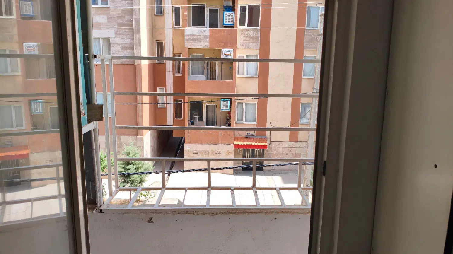 مهرگان تک خواب