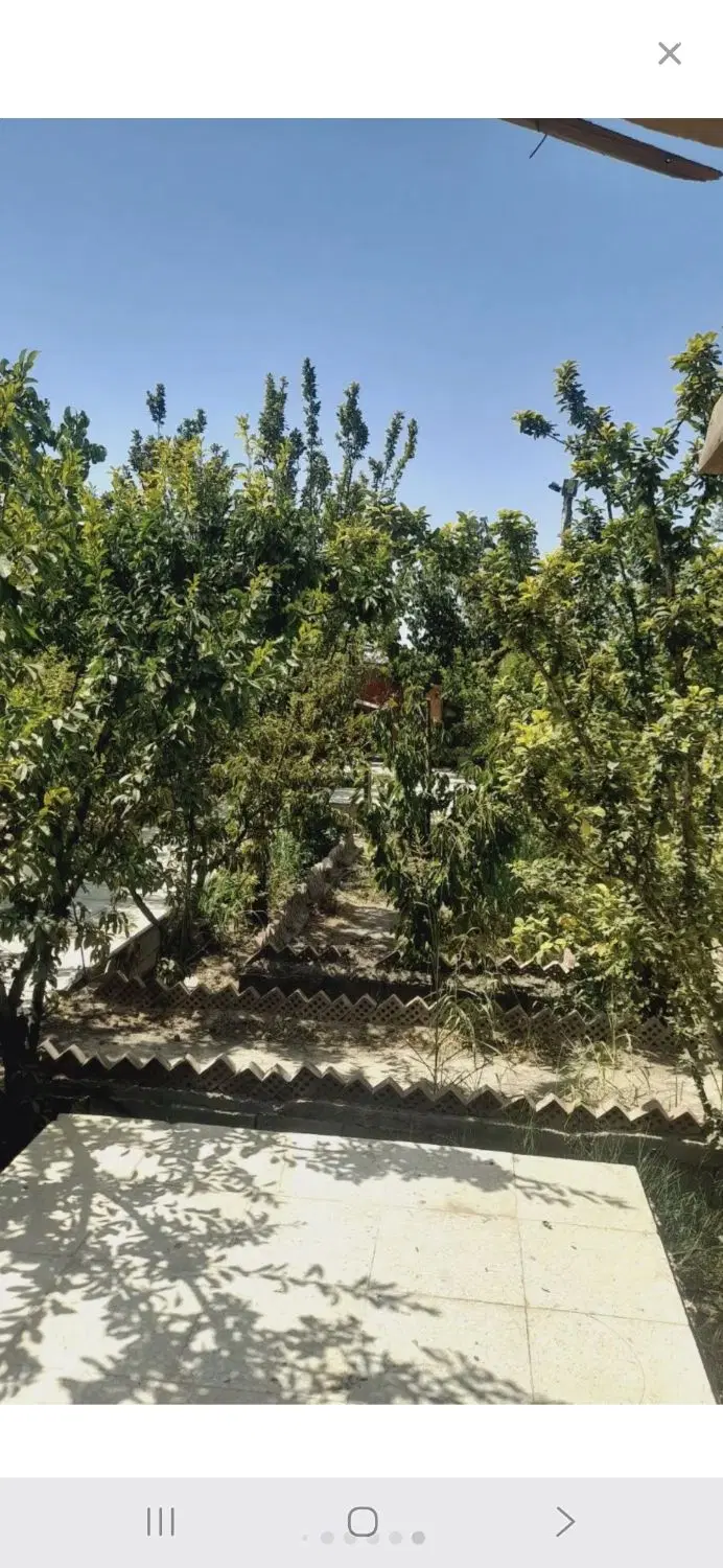 کاسبی 300