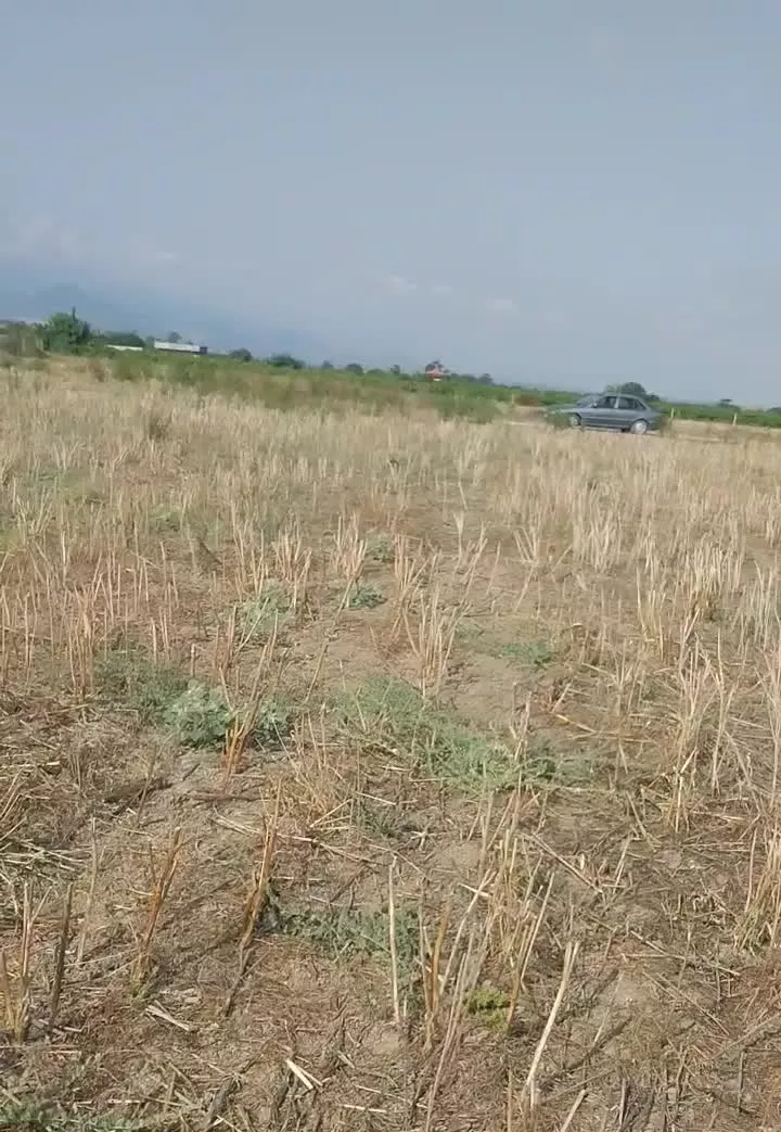 فروش زمین کشاورزی در روستای زیبای کلاجان قاجار