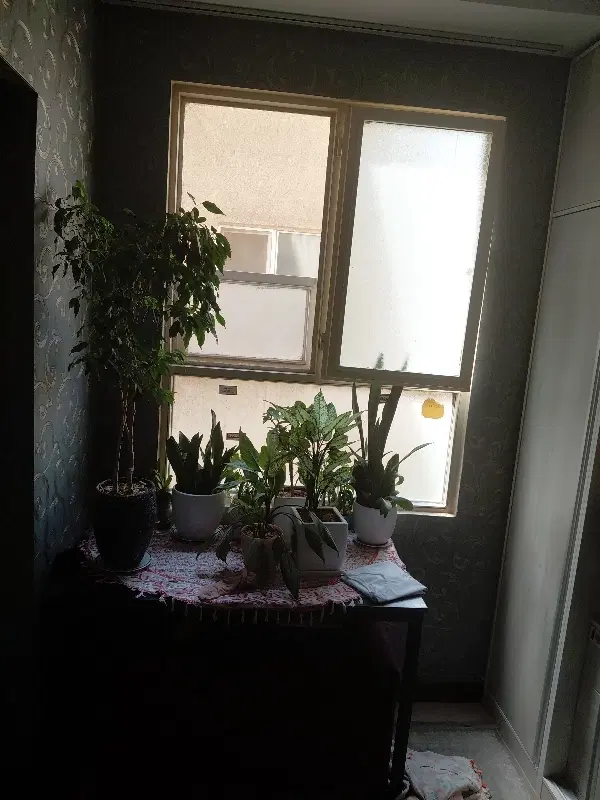 اجاره آپارتمان