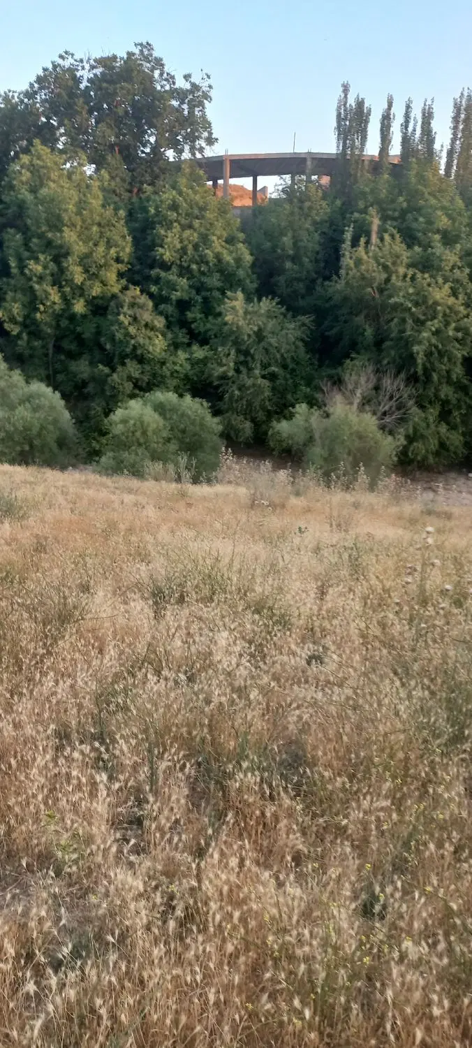 زمین جهت خانه باغ در چالسرا