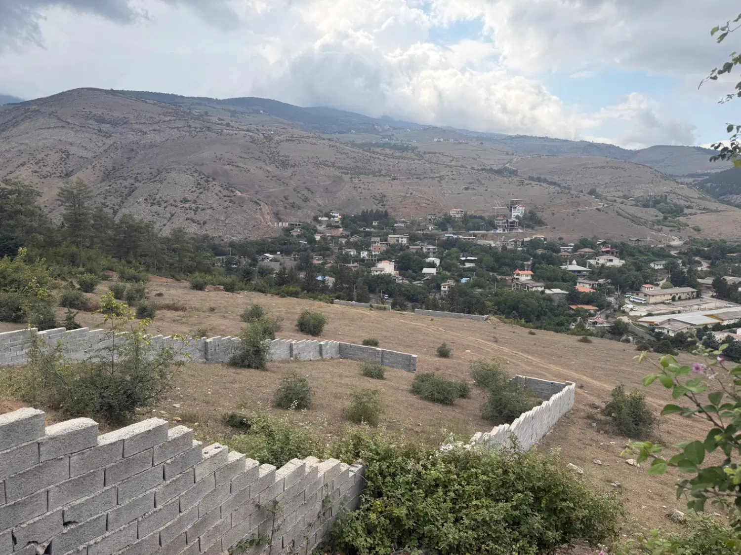 زمین داخل بافت