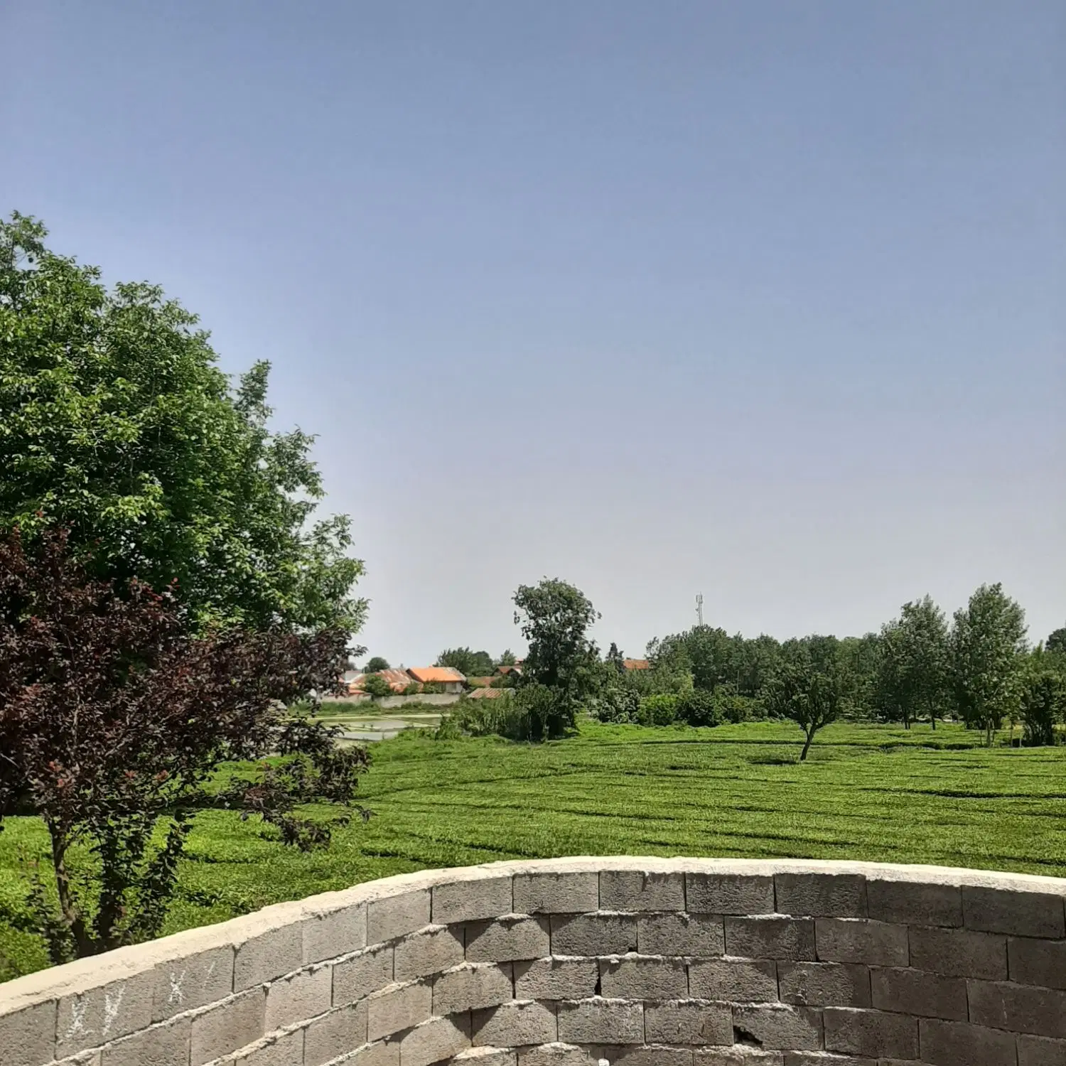 فروش ویلا با ویو باغات چای