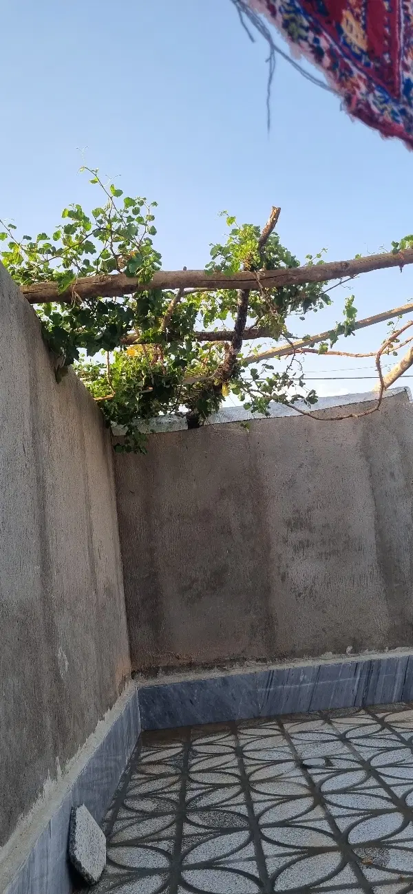 خانه اجاره ای