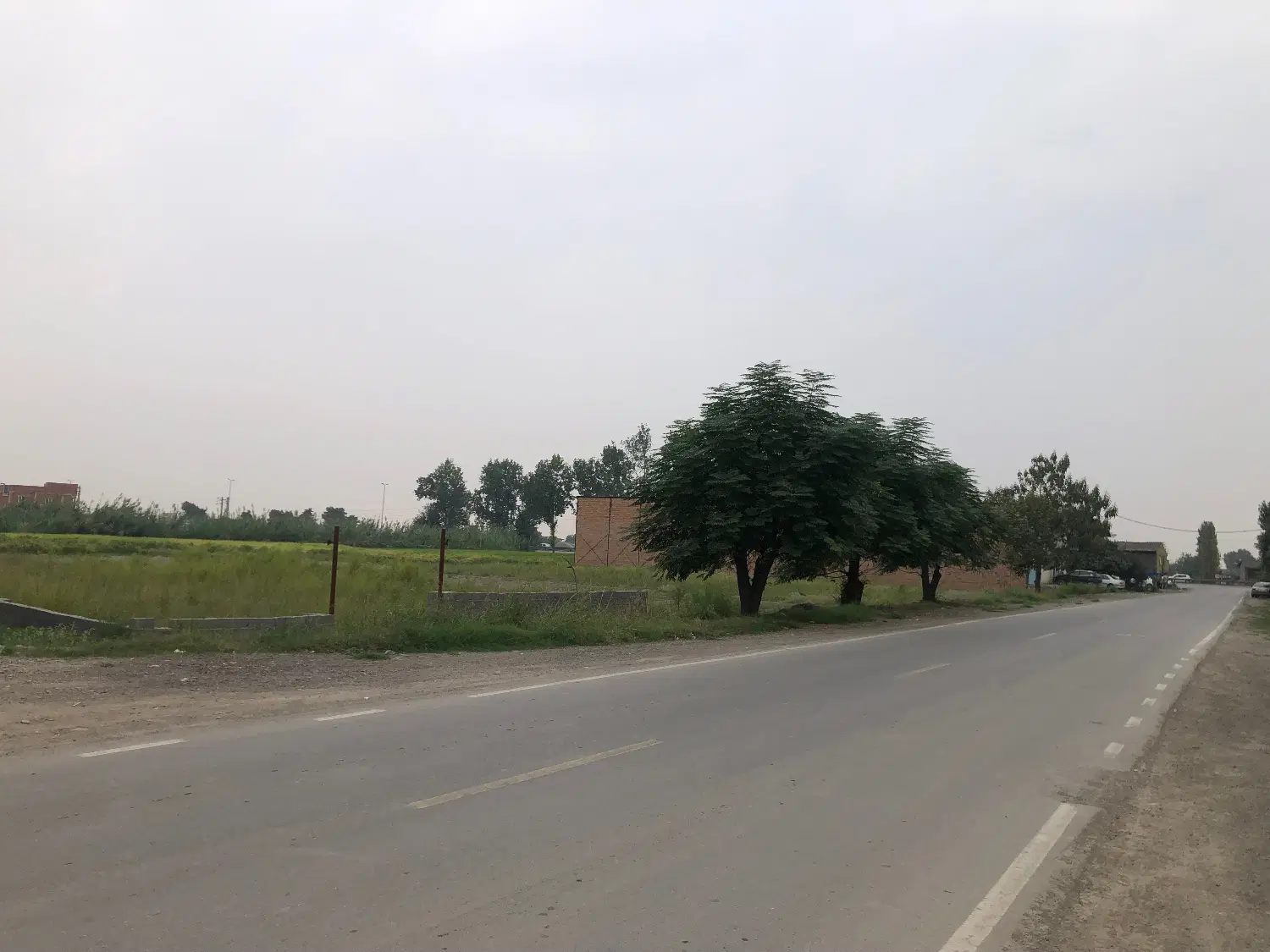 زمین
