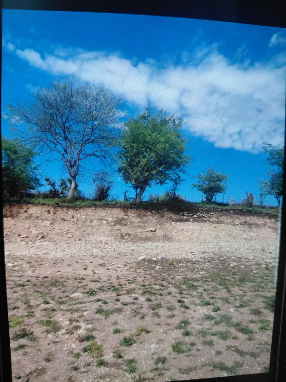 فروش زمین
