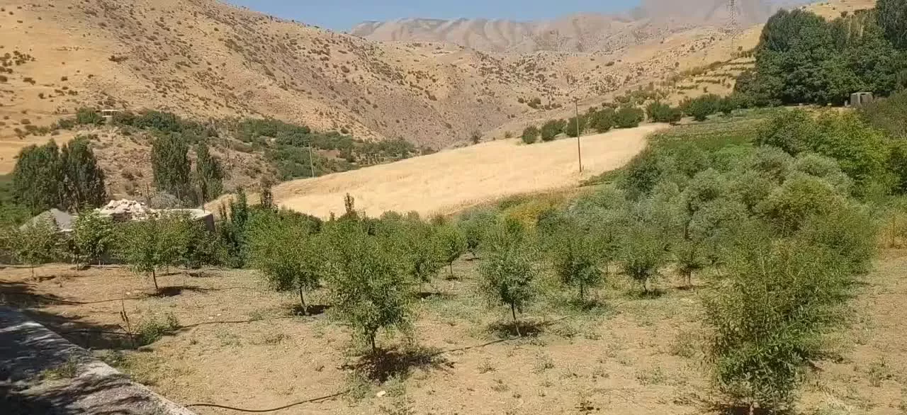 باغ و ویلا در گاوشان