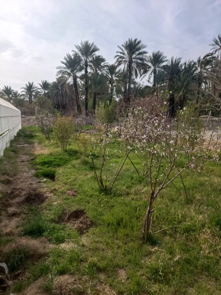 فروش مجموعه گلخانه