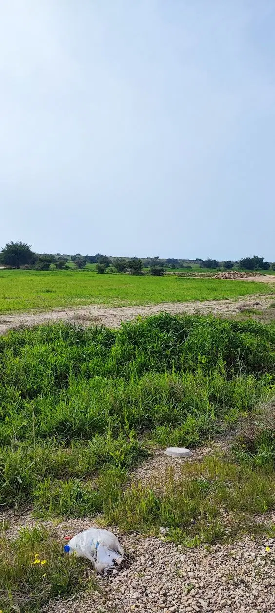 زمین کشاورزی برِ جاده  روستای گل زرد