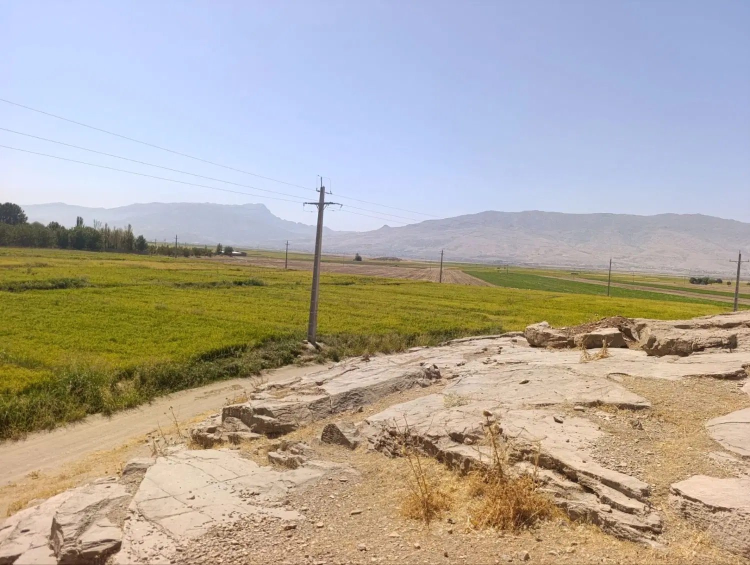 زمین زراعی در بهرام اباد دارای چاه ۶ اینچی
