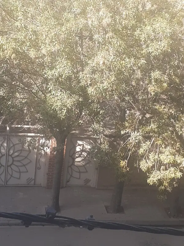 اجاره سوئیت باغ نقلی