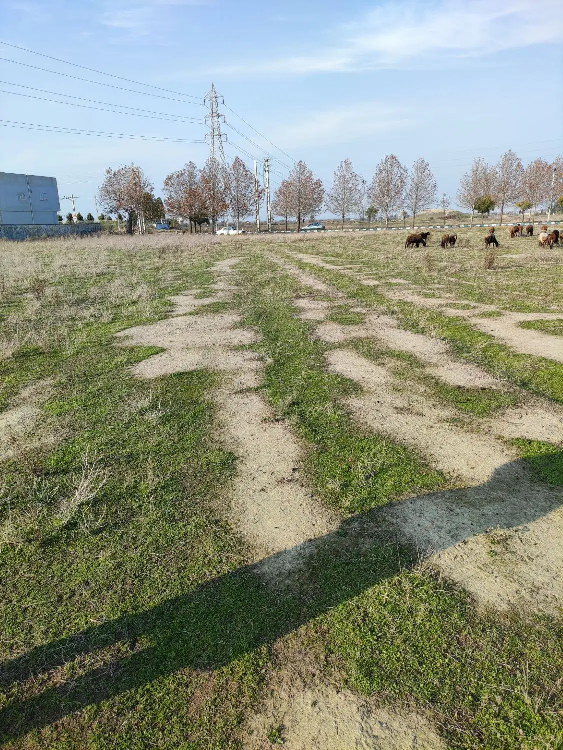 زمین تفکیک شده