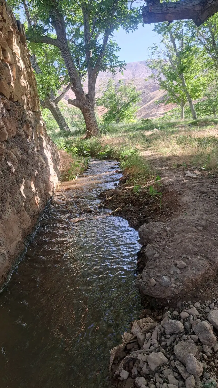 باغ بیدواز